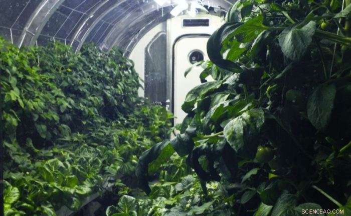 Engineering Mars  Hanging Gardens: Sustainable Greenhouses for Long-Term Colonization