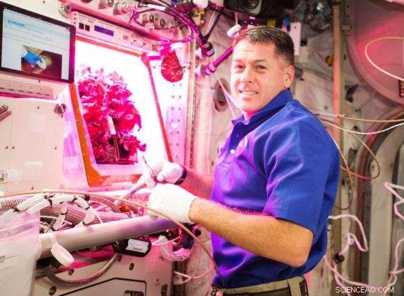 Engineering Mars  Hanging Gardens: Sustainable Greenhouses for Long-Term Colonization