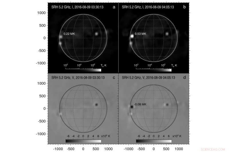 First Solar Observation Results Released by Siberian Radioheliograph Researchers