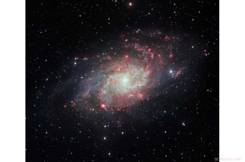 FADO: The Cutting-Edge Tool for Reconstructing Galactic Histories