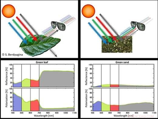 Detecting Plant Life on Exoplanets: Techniques and Insights