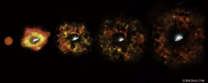 A Massive Star’s Collapse Creates a Black Hole: Confirmed by Hubble Observations