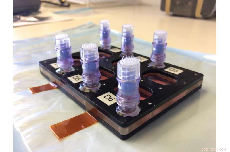 Advancing Cell Culture Techniques: Achieving Gold Standards in Research