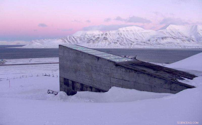 Safeguarding Life: Practical Strategies for Earth’s Future Amid Potential Doomsday Threats