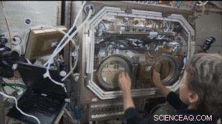 Enhanced Glovebox Window Boosts Scientific Operations on the ISS