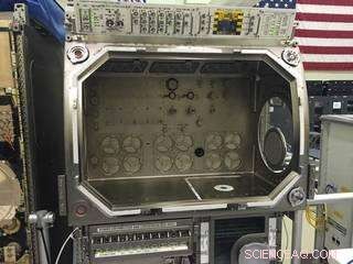 Enhanced Glovebox Window Boosts Scientific Operations on the ISS