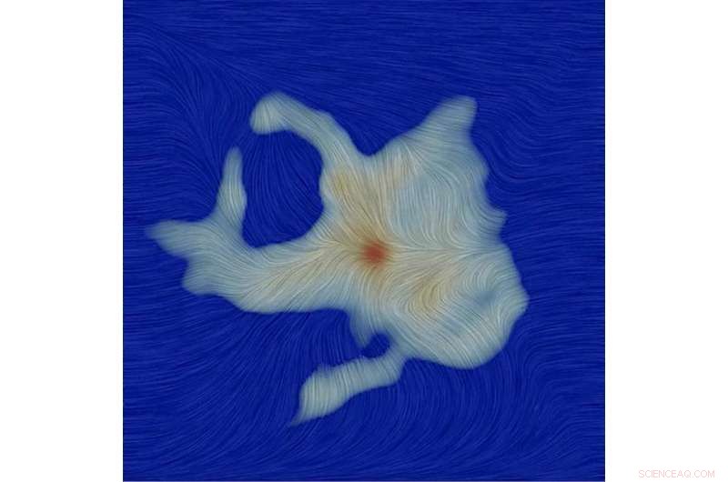 Can a Chaotically Magnetized Cloud Still Form a Star? New Findings