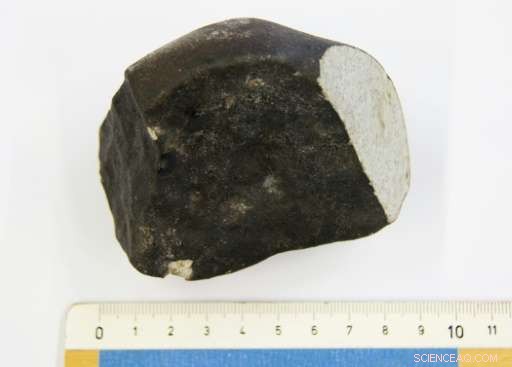 Dutch Scientists Celebrate Discovery of 4.5‑Billion‑Year‑Old Meteorite