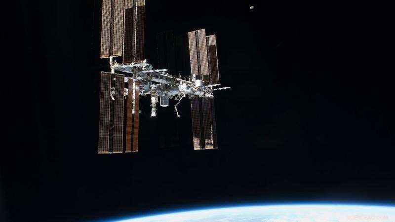 NASA Vigilantly Tracks Microbial Stowaways on the ISS
