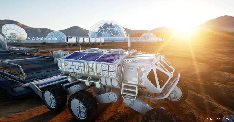 Space Agriculture: Providing Sustainable Food for Astronauts and Earth