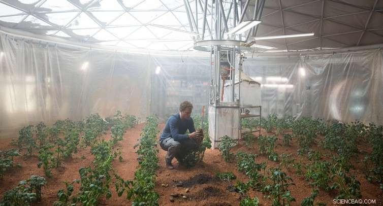 Space Agriculture: Providing Sustainable Food for Astronauts and Earth