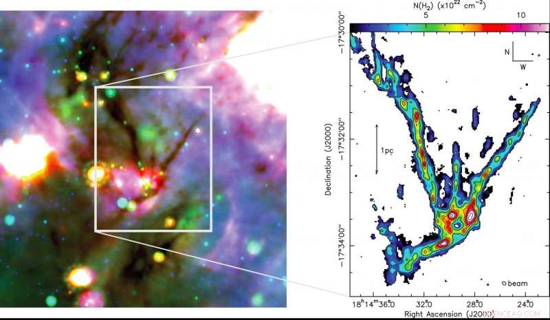 First Insight into the Gravitational Dynamics Driving Star Formation
