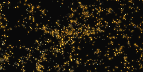 Scientists Unveil the Universe’s Largest Supercluster: Saraswati