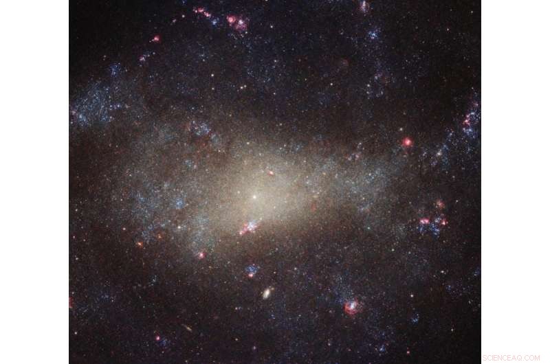NASA/ESA Hubble Captures Stunning Image of NGC 4242 in Canes Venatici
