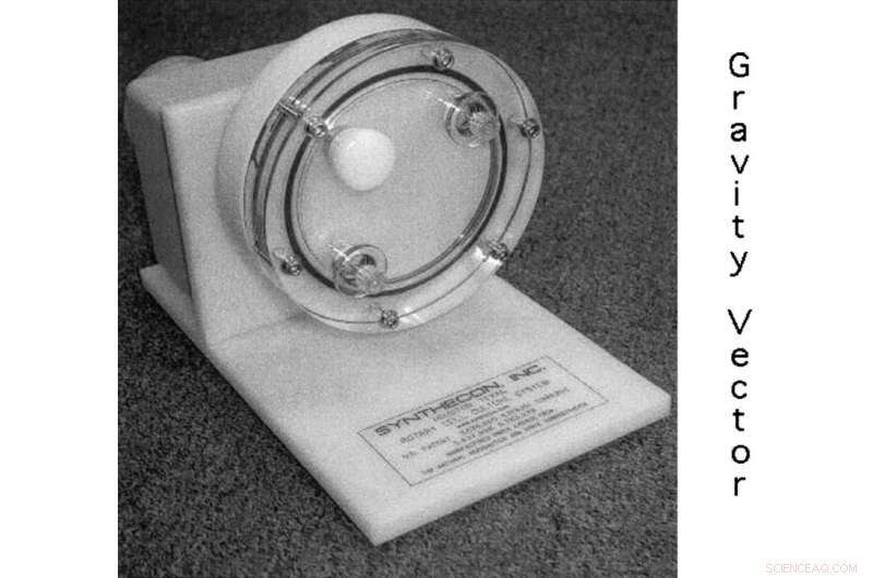 Microgravity Drives Evolutionary Adaptations in Life Forms