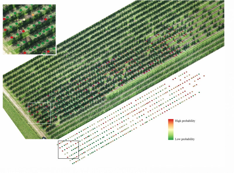 Satellite Imaging Revolutionizes Precision Farming