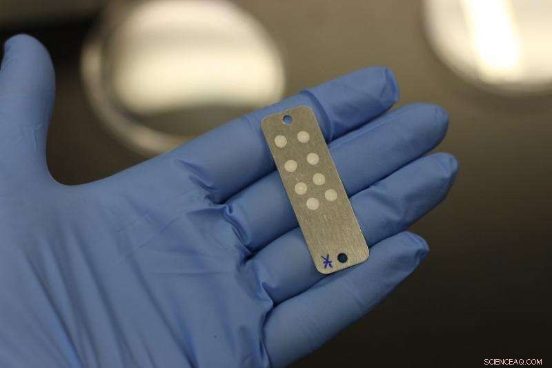 Eclipse Balloons Probe Mars‑Like Conditions for Life