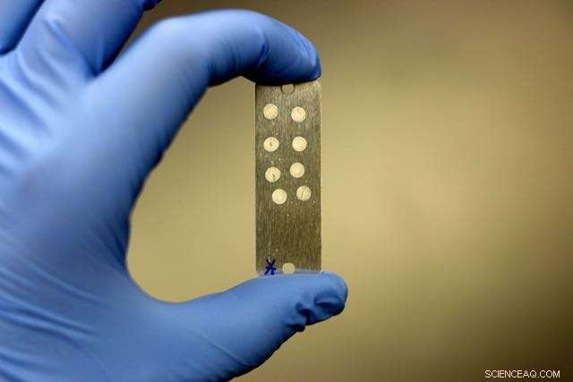 Solar Eclipse Offers Unique Opportunity to Study Life s Resilience