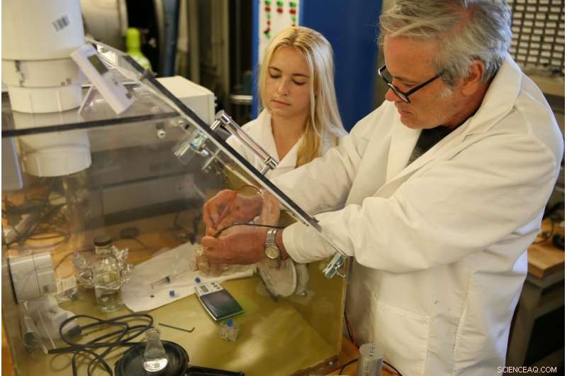 Revolutionary CubeSat Propulsion System Utilizes Water as Clean Propellant