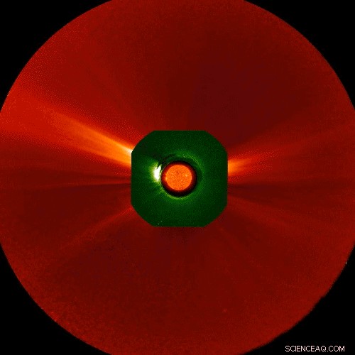 A Two-Week Chronicle of a Sunspot: Tracking Its Journey & Impact