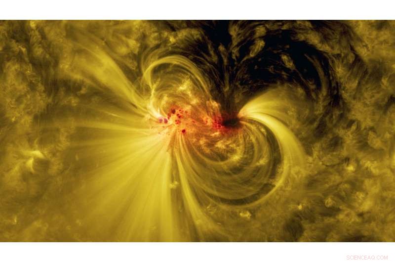 A Two-Week Chronicle of a Sunspot: Tracking Its Journey & Impact