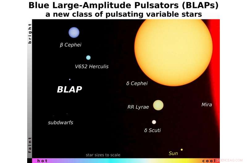 Decoding the Mystery of Pulsating Blue Stars