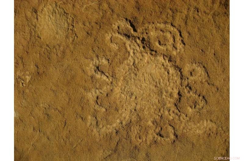 Ancient Chaco Canyon Petroglyph May Depict 1097 Solar Eclipse