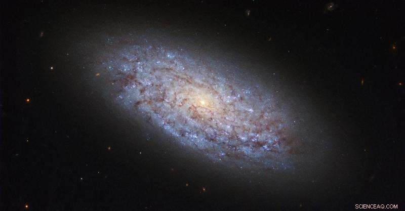 Hubble Captures Dwarf Spiral Galaxy NGC 5949 in Stunning New Image
