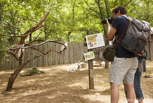 Eclipses: More Than Spectacles—How They Drive Science—and You Can Join In