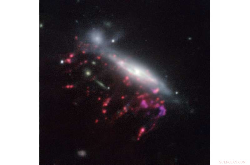 Cosmic Jellyfish Galaxies: The Hidden Fuel Source for Supermassive Black Holes