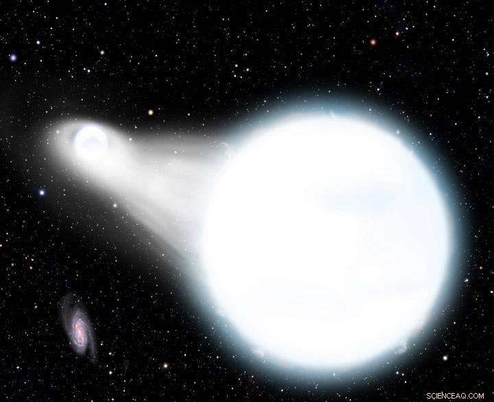 Astrophysicist Predicts Merger of Detached Eclipsing White Dwarfs into an Exotic Star