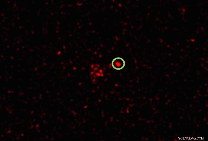 Scientists Capture First X‑ray Signals from Enigmatic Type Ia Supernova in ESO 336‑G009