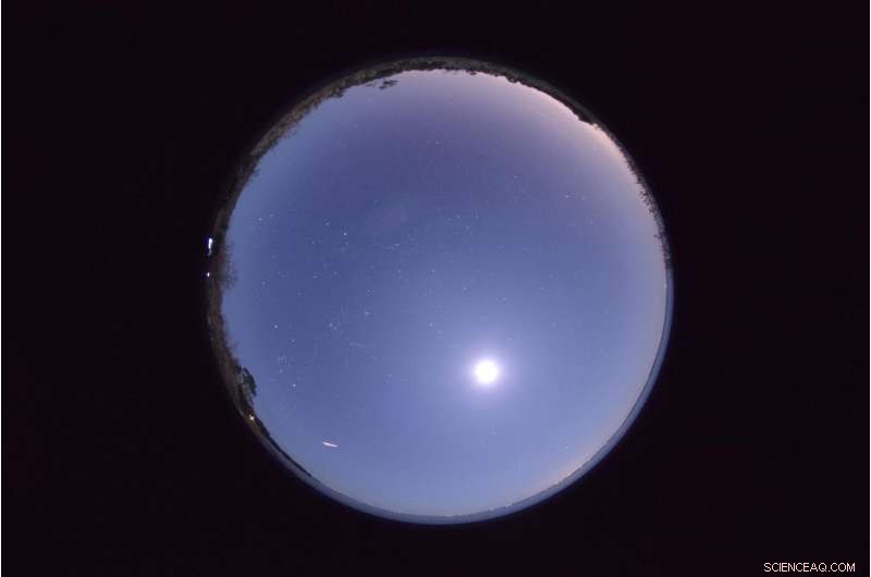 Phoenicid Meteor Shower Returns After 58 Years – Reviving a Long‑Dead Comet