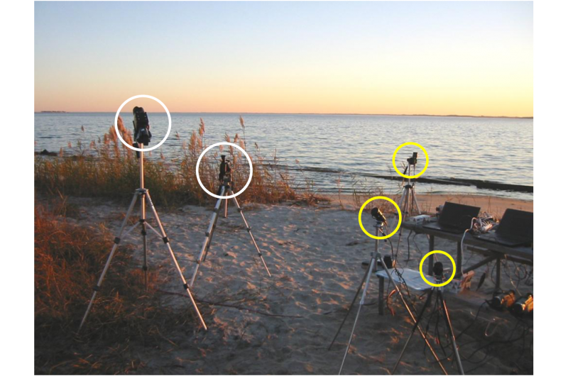 Phoenicid Meteor Shower Returns After 58 Years – Reviving a Long‑Dead Comet