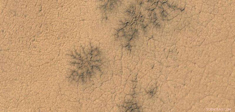 Citizen Scientists Spot Unexpected Martian Spider Features