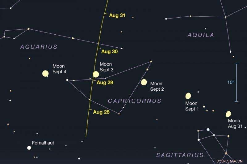 Backyard Astronomers Prepare for Close Flyby of Asteroid 3122 Florence