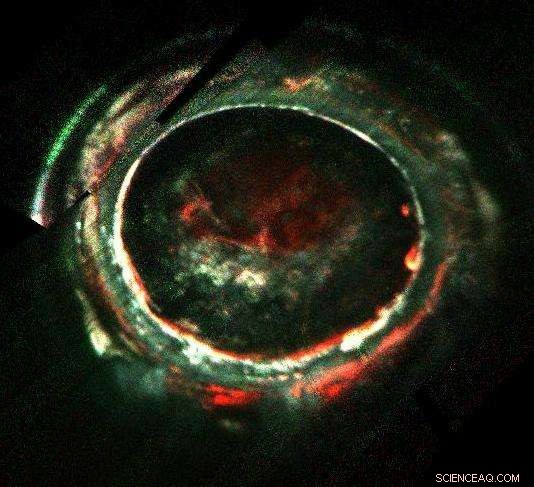 Jupiter s Auroras: Unveiling a Powerful Cosmic Mystery