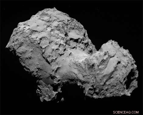 Do Comets Harbor Pre-Solar System Organic Material?