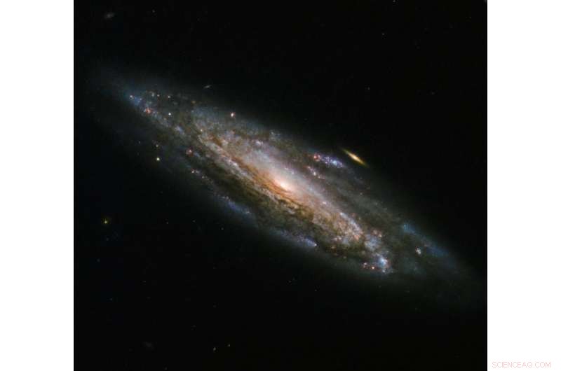 Hubble Captures Newborn Stars Illuminating Spiral Arms of NGC 5559
