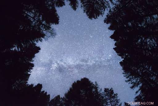 Idaho Aims to Establish the Nation’s First Dark Sky Reserve, Promising Unmatched Stargazing