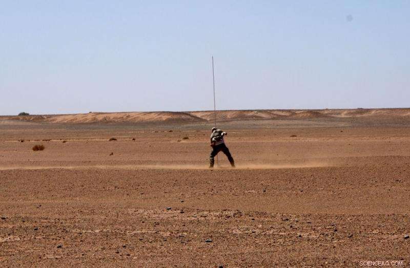 Dust Devils: Key Dust Sources on Earth and Mars