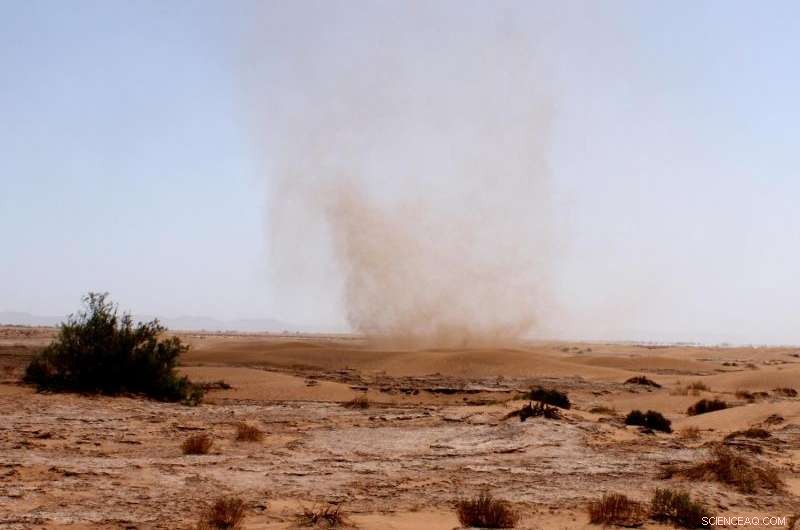 Dust Devils: Key Dust Sources on Earth and Mars