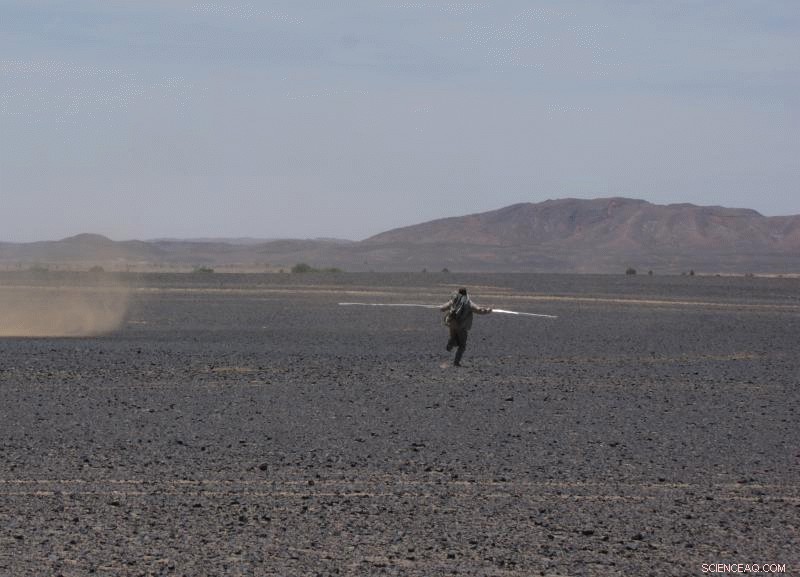 Dust Devils: Key Dust Sources on Earth and Mars