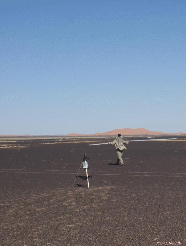 Dust Devils: Key Dust Sources on Earth and Mars