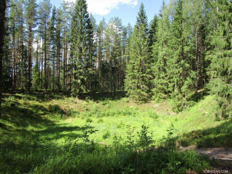 Baltic Crater Studies Reveal Earth s Impactful Past