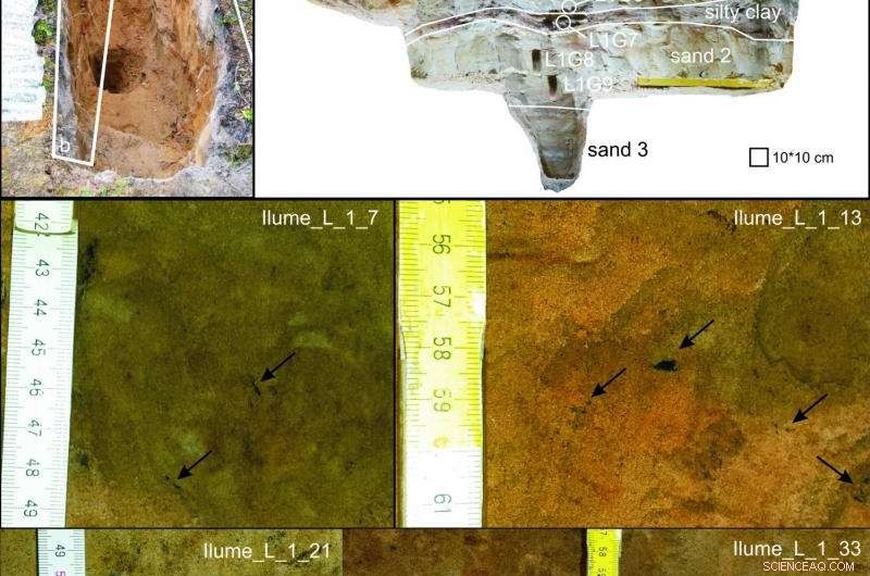 Baltic Crater Studies Reveal Earth s Impactful Past