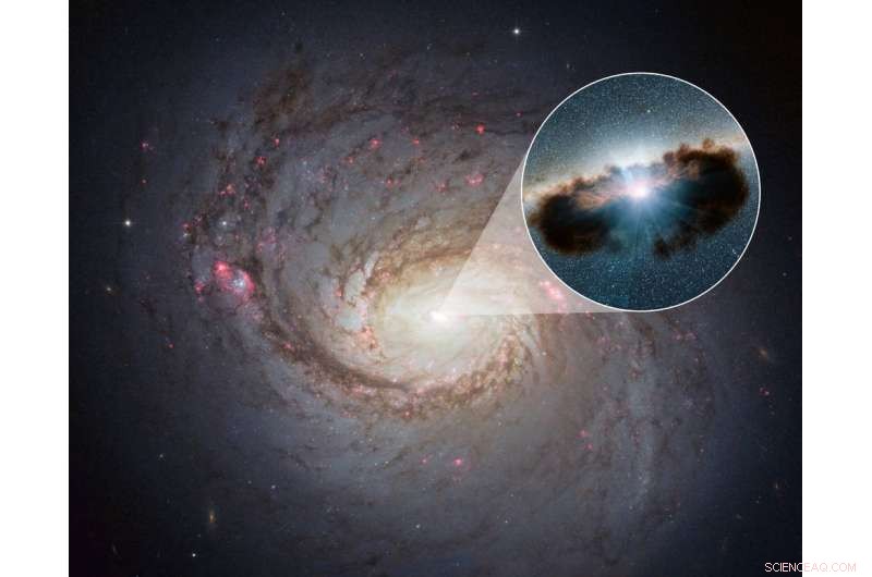 Unveiling the Dusty Veil Around Supermassive Black Holes