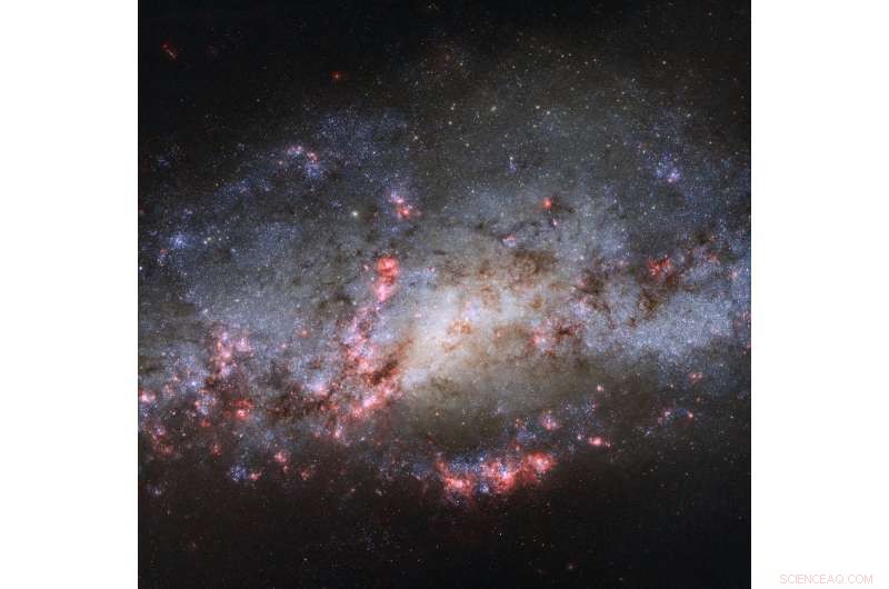 Exploring Star Formation in the NGC 4490 Galaxy