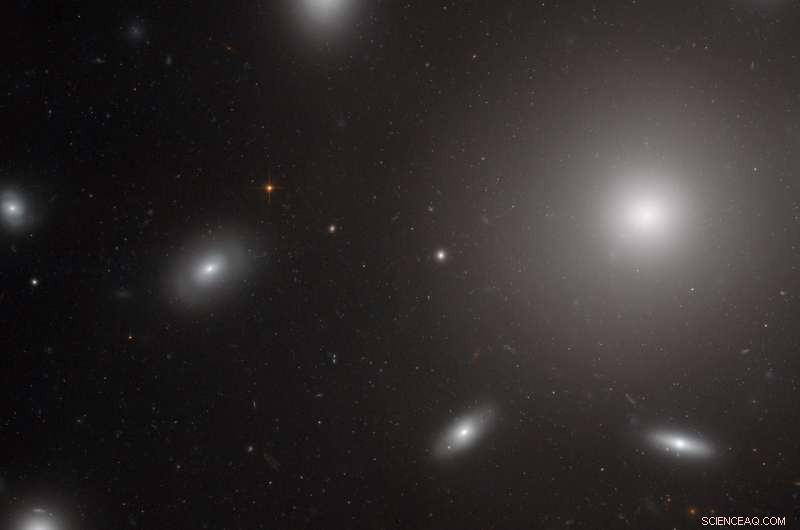 Hubble Captures Star Cluster Swarms Around NGC 4874 in Coma Berenices