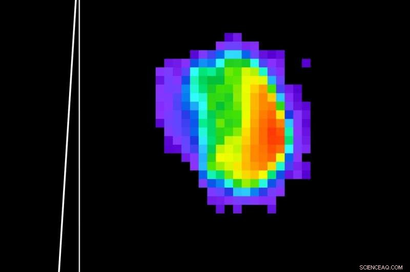 NASA s THEMIS Camera Reveals New Insights on Mars  Moon Phobos